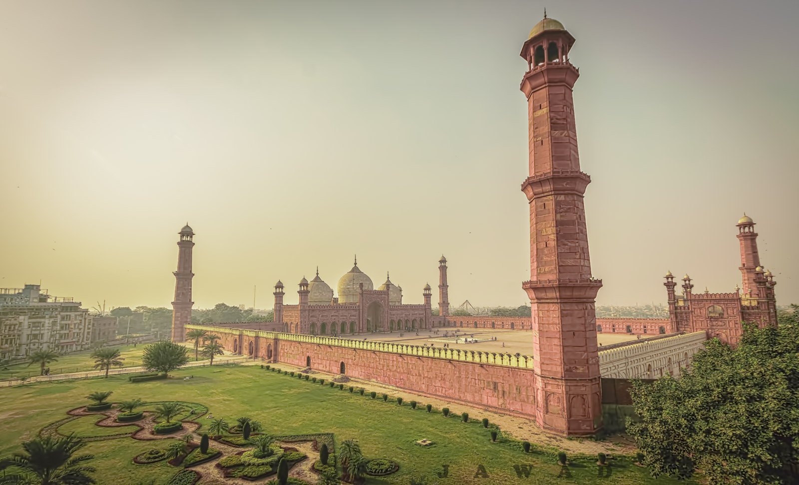 Punjab provincial chapter